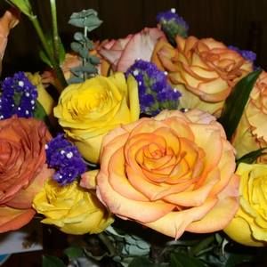 Meet your Posher, Connie